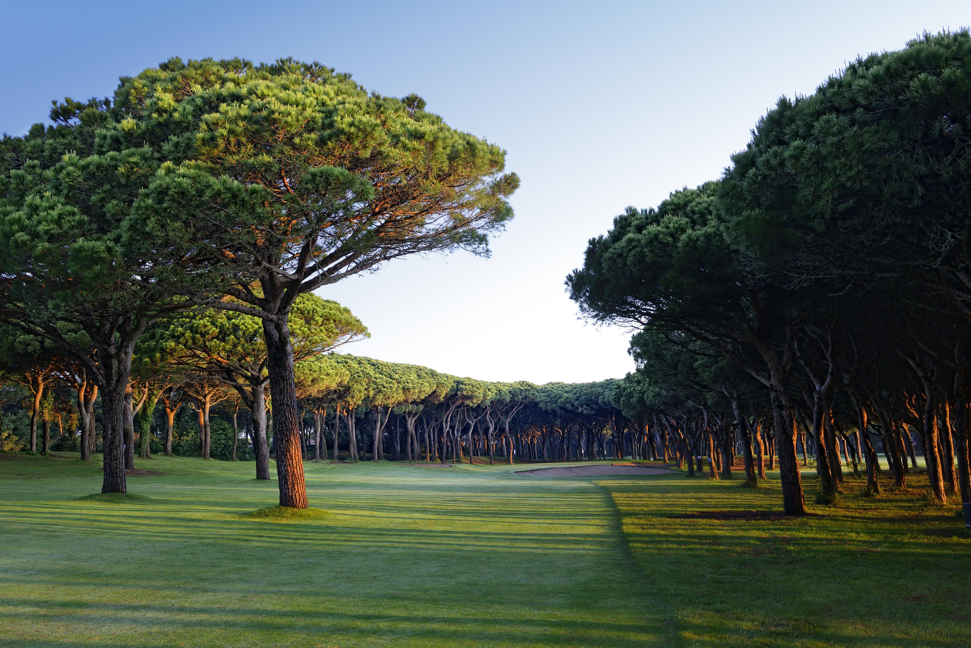 La Costa Hotel Golf & Beach Resort Палс Екстериор снимка